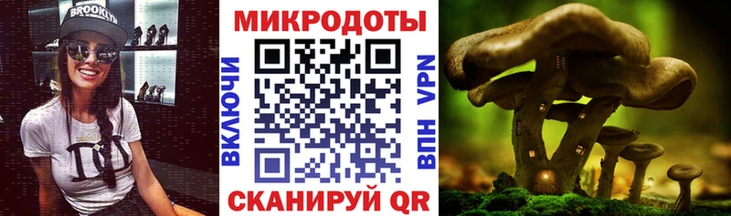 Псилоцибиновые грибы мицелий  Нерехта 